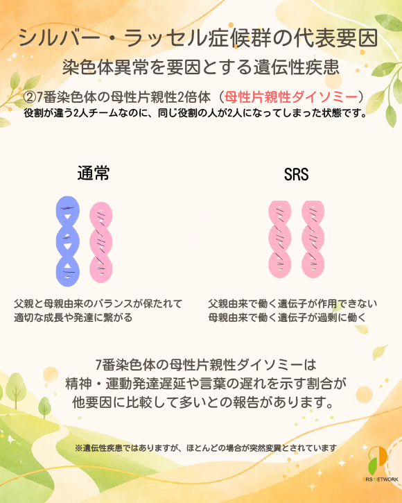 シルバー・ラッセル症候群の代表要因